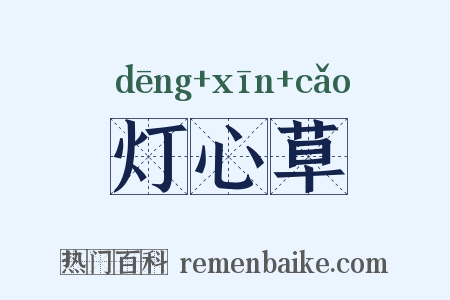 灯心草是什么意思的图片